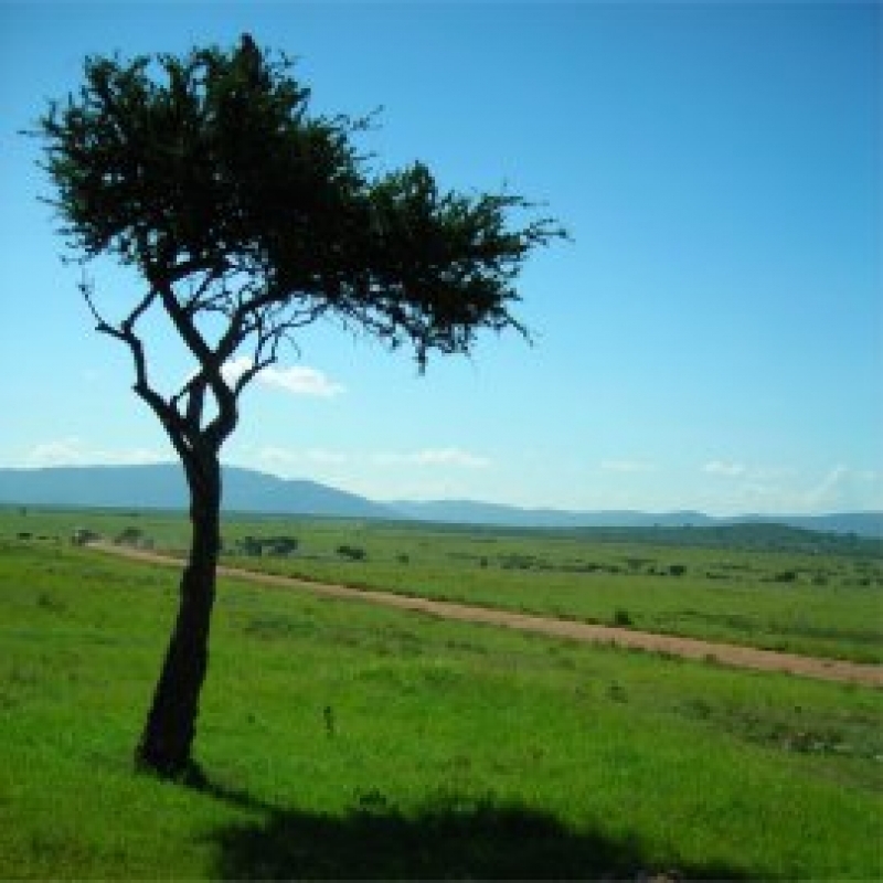 Help in selling a Land